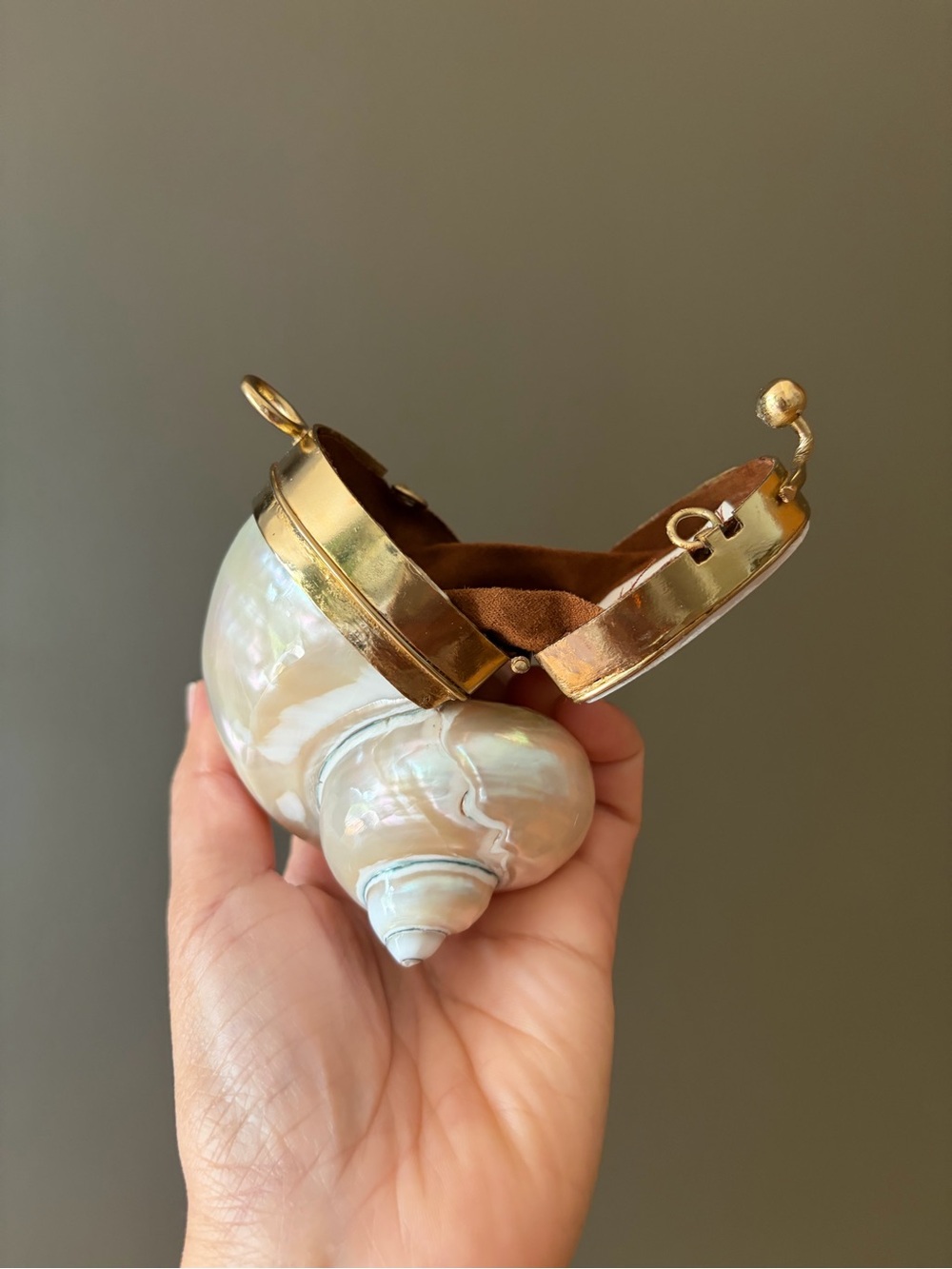 Gold and Cream Shell Clutch - Picture 11 of 16